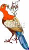 Bird Clip Art Image