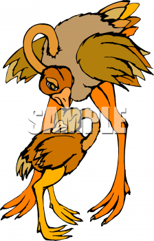 Bird Clip Art Image