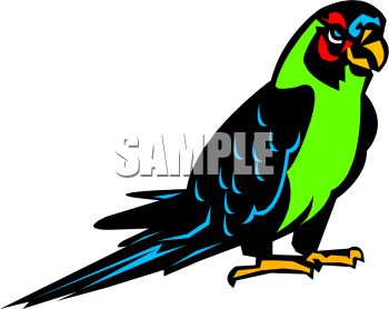 Bird Clip Art Image