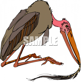 Bird Clip Art Image