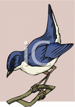 Bird Clip Art Image