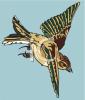 Bird Clip Art Image