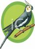 Bird Clip Art Image