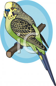 Bird Clip Art Image