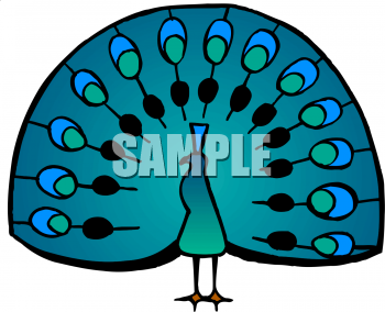 Bird Clip Art Image
