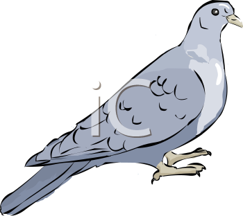 Bird Clip Art Image