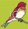 Bird Clip Art Image