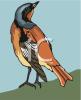 Bird Clip Art Image