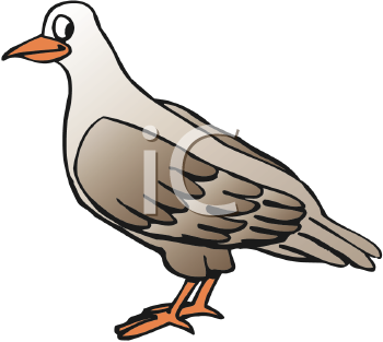 Bird Clip Art Image