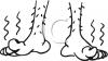 Foot Clip Art Image