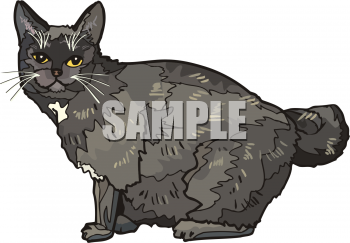 Cat Clip Art Image