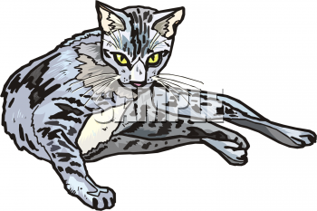 Cat Clip Art Image