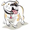 Dog Clip Art Image