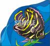 Fish Clip Art Image