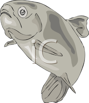 Fish Clip Art Image