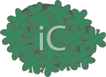 Saint Patrick's Day Clip Art Image