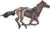 Horse Clip Art Image