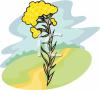 Flower Clip Art Image