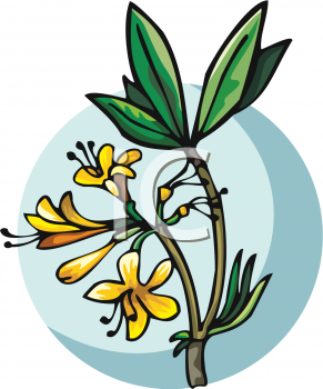 Flower Clip Art Image