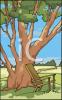 Tree Clip Art Image