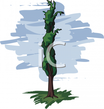 Tree Clip Art Image