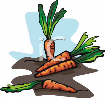 carrot121_000371_tnb.png 78.5K
