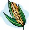 corn2_000392_tnb.png 104.9K